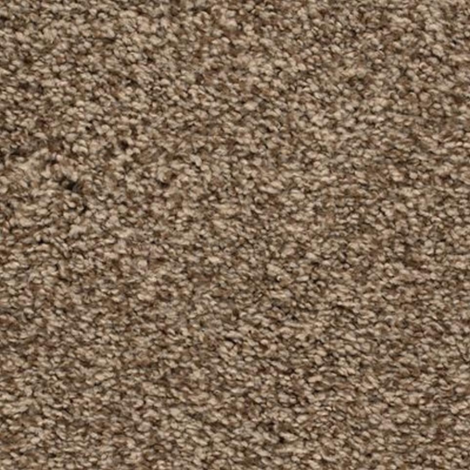 Textured Saxony After Glow Beige/Tan Carpet