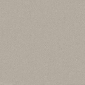 Textured Saxony Veil Beige/Tan Carpet