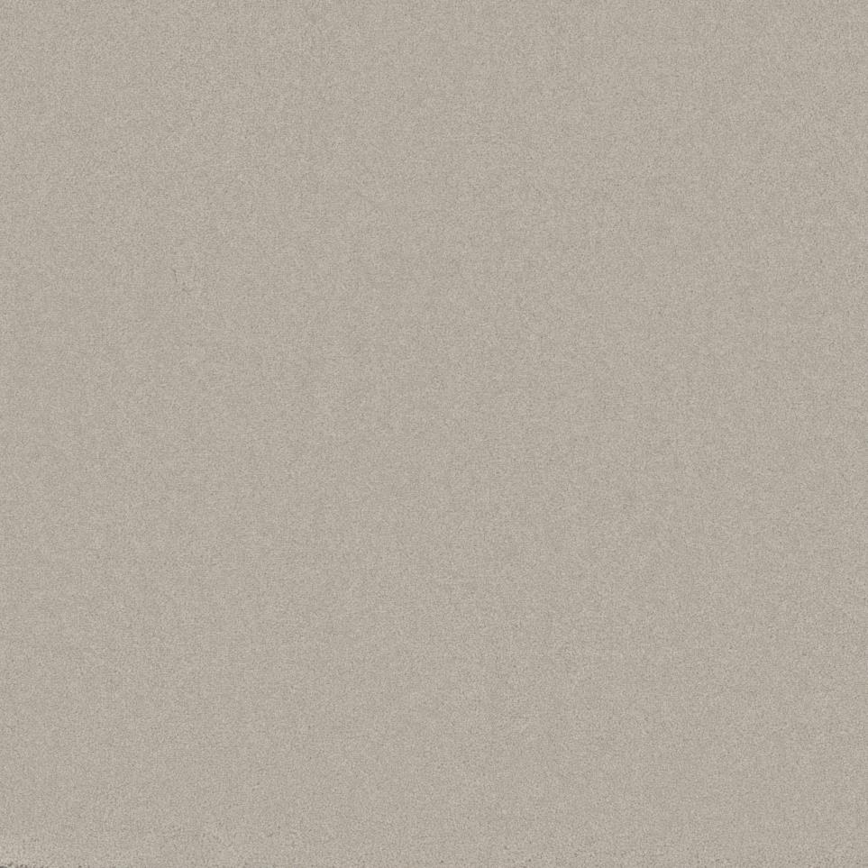 Textured Saxony Veil Beige/Tan Carpet