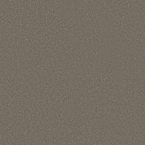 Texture Night Owl Gray Carpet