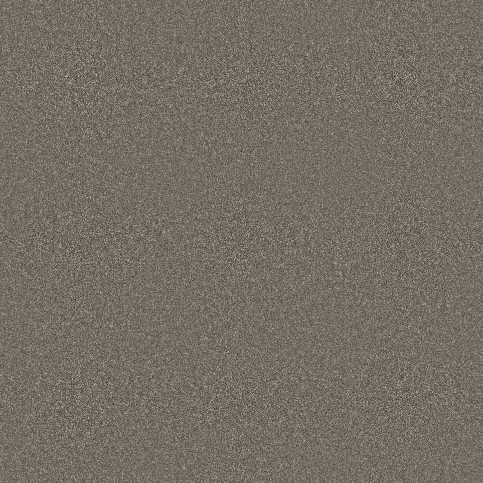 Texture Night Owl Gray Carpet