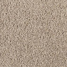 Texture Smokey Taupe Beige/Tan Carpet