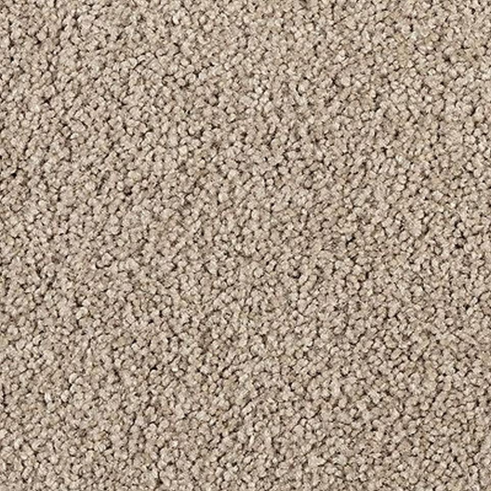 Texture Smokey Taupe Beige/Tan Carpet