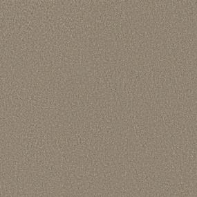 Cut Pile Folklore Beige/Tan Carpet