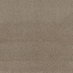 Textured Saxony Pathway Beige/Tan Carpet