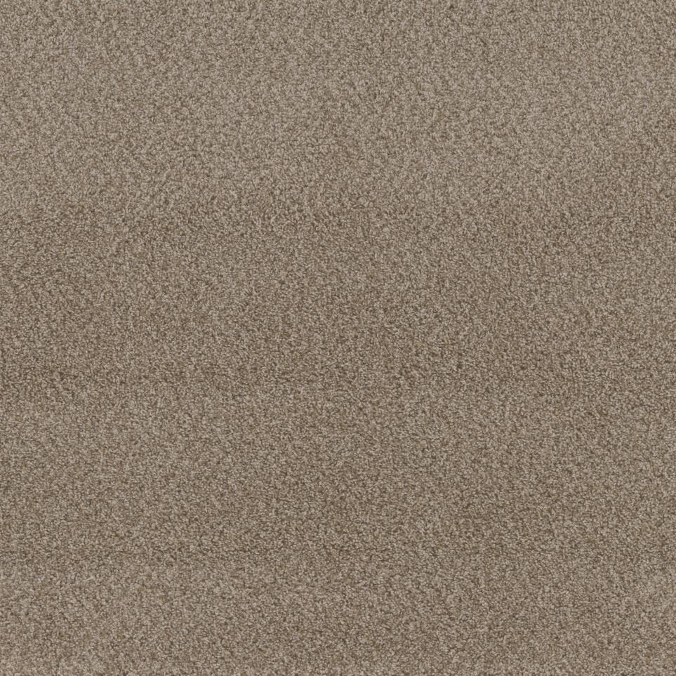 Textured Saxony Pathway Beige/Tan Carpet