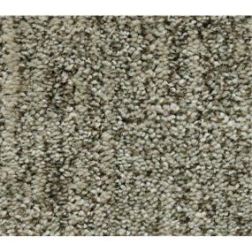 Pattern Mushroom Gray Carpet