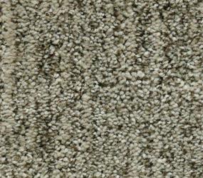 Pattern Mushroom Gray Carpet