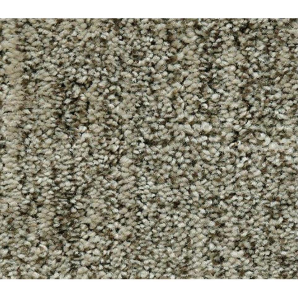 Pattern Mushroom Gray Carpet