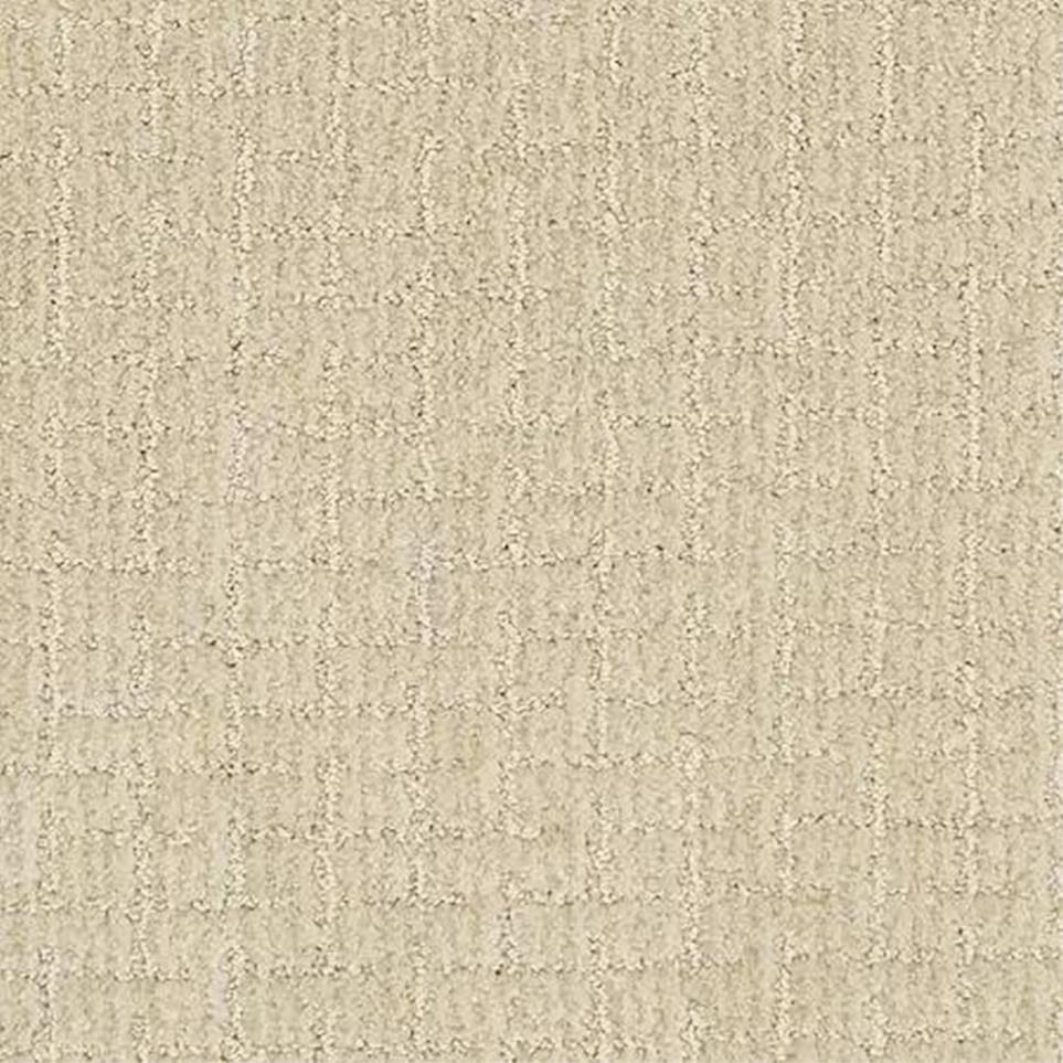 Pattern Desert Sand Beige/Tan Carpet