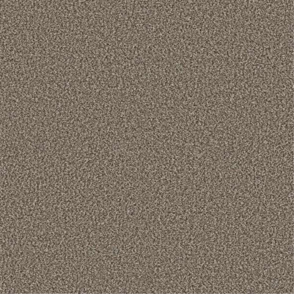 Plush Saxony Sugar Cookie Brown Carpet