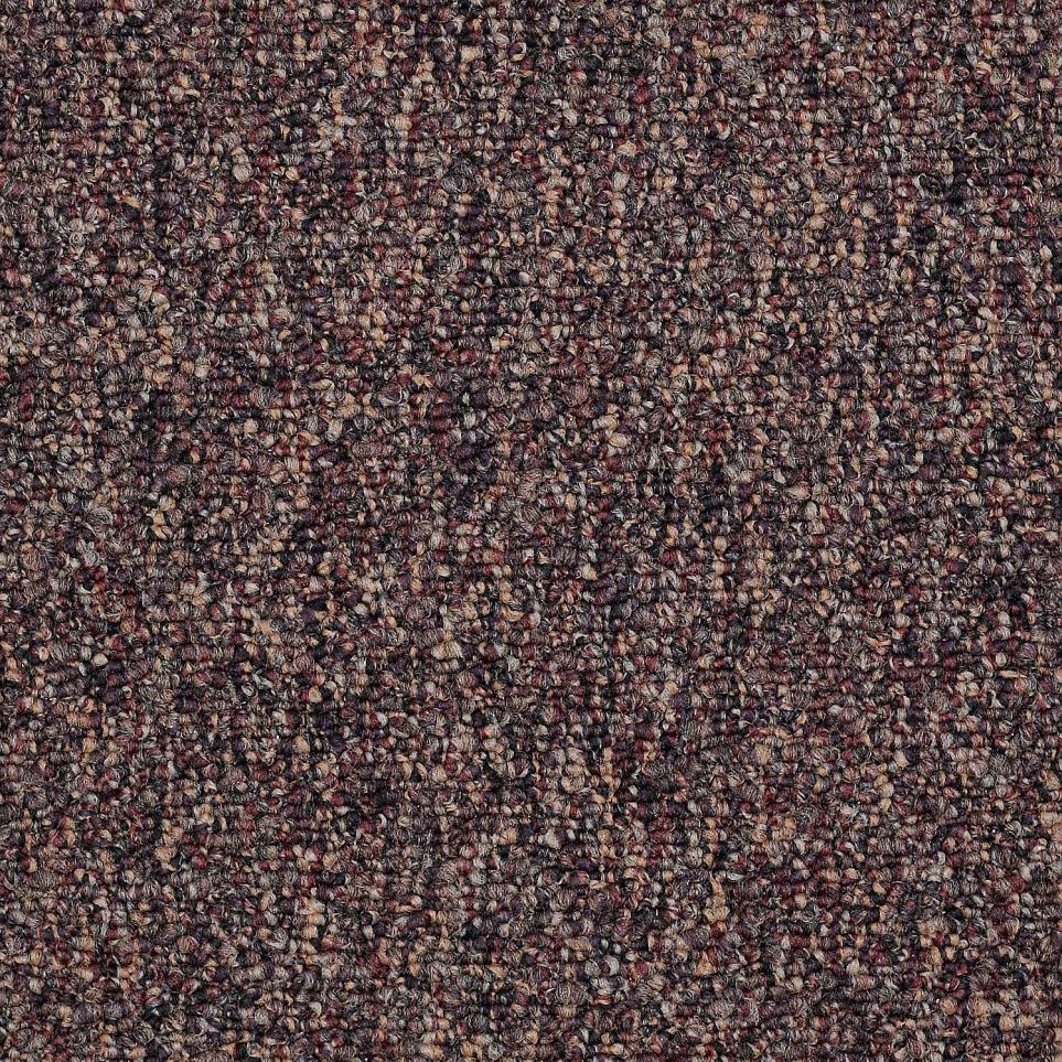 Loop Muscadine Purple Carpet