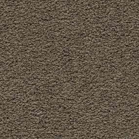 Textured Saxony Shadywood Brown Carpet