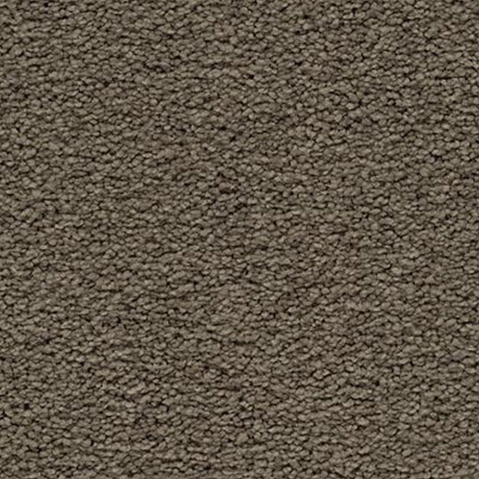 Textured Saxony Shadywood Brown Carpet