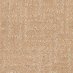 Pattern Pottery Beige/Tan Carpet