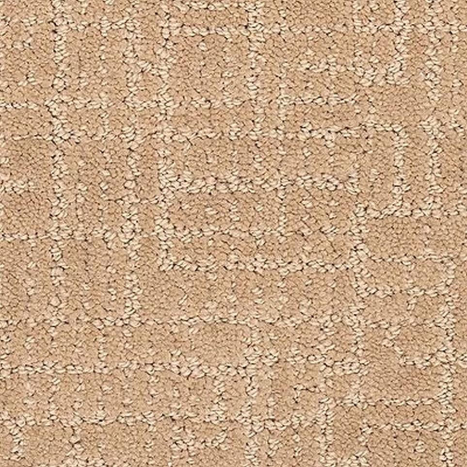 Pattern Pottery Beige/Tan Carpet