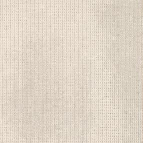 Pattern Seashell White Carpet