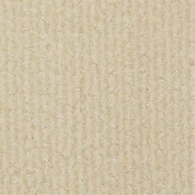 Pattern Sand Trap Beige/Tan Carpet