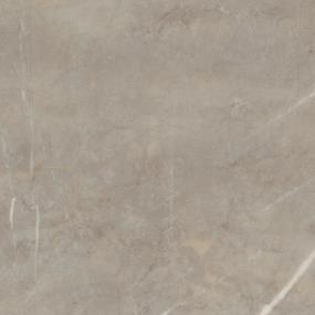 Tile Plank Statuary Gray Vinyl