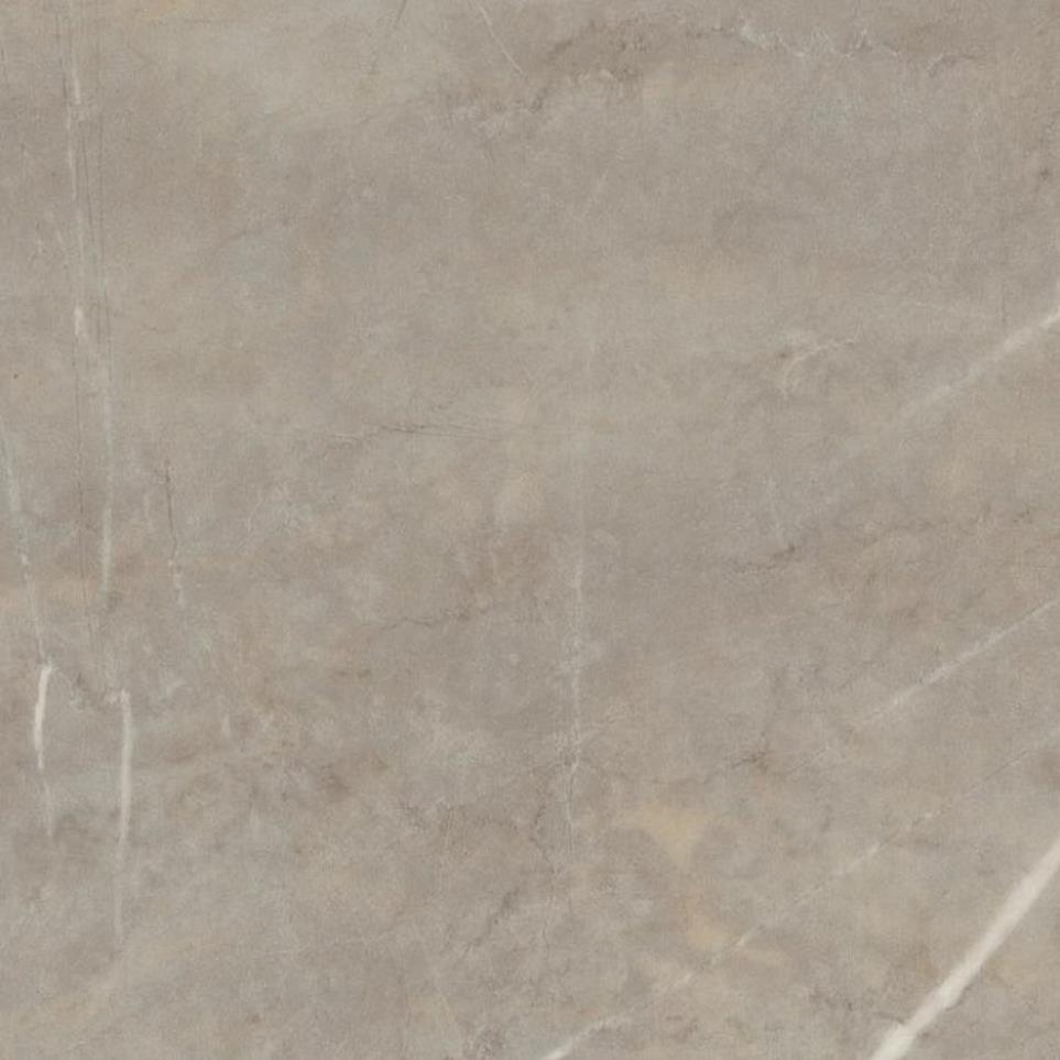 Tile Plank Statuary Gray Vinyl