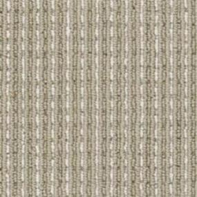 Pattern Khaki Beige/Tan Carpet