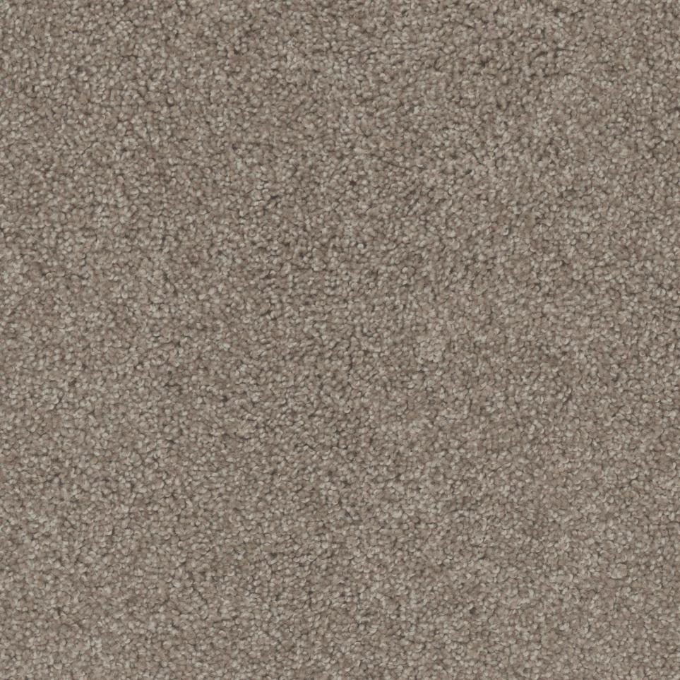 Texture Tawny Beige/Tan Carpet