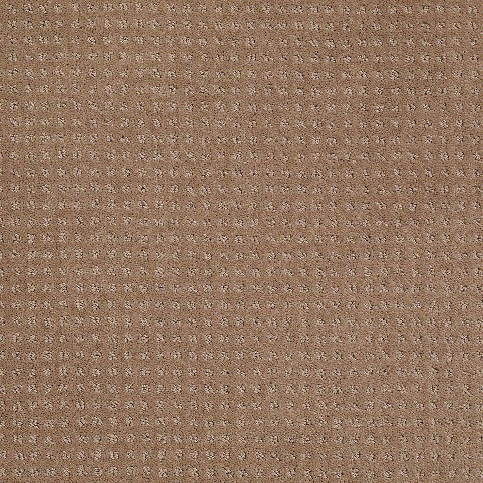 Pattern Rich Earth Beige/Tan Carpet
