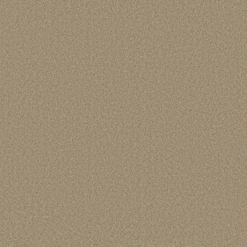 Textured Saxony Lush Soil Beige/Tan Carpet