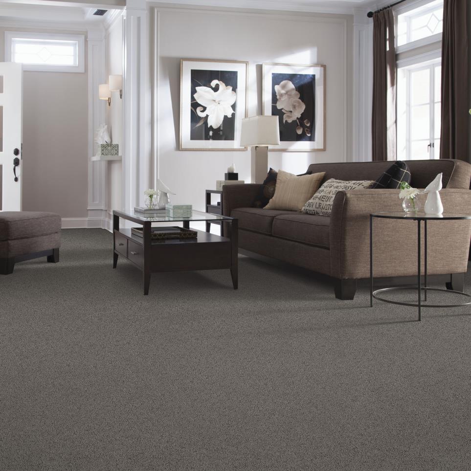 Textured Saxony Flannel Beige/Tan Carpet