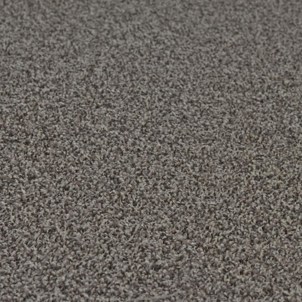 Textured Saxony Flannel Beige/Tan Carpet