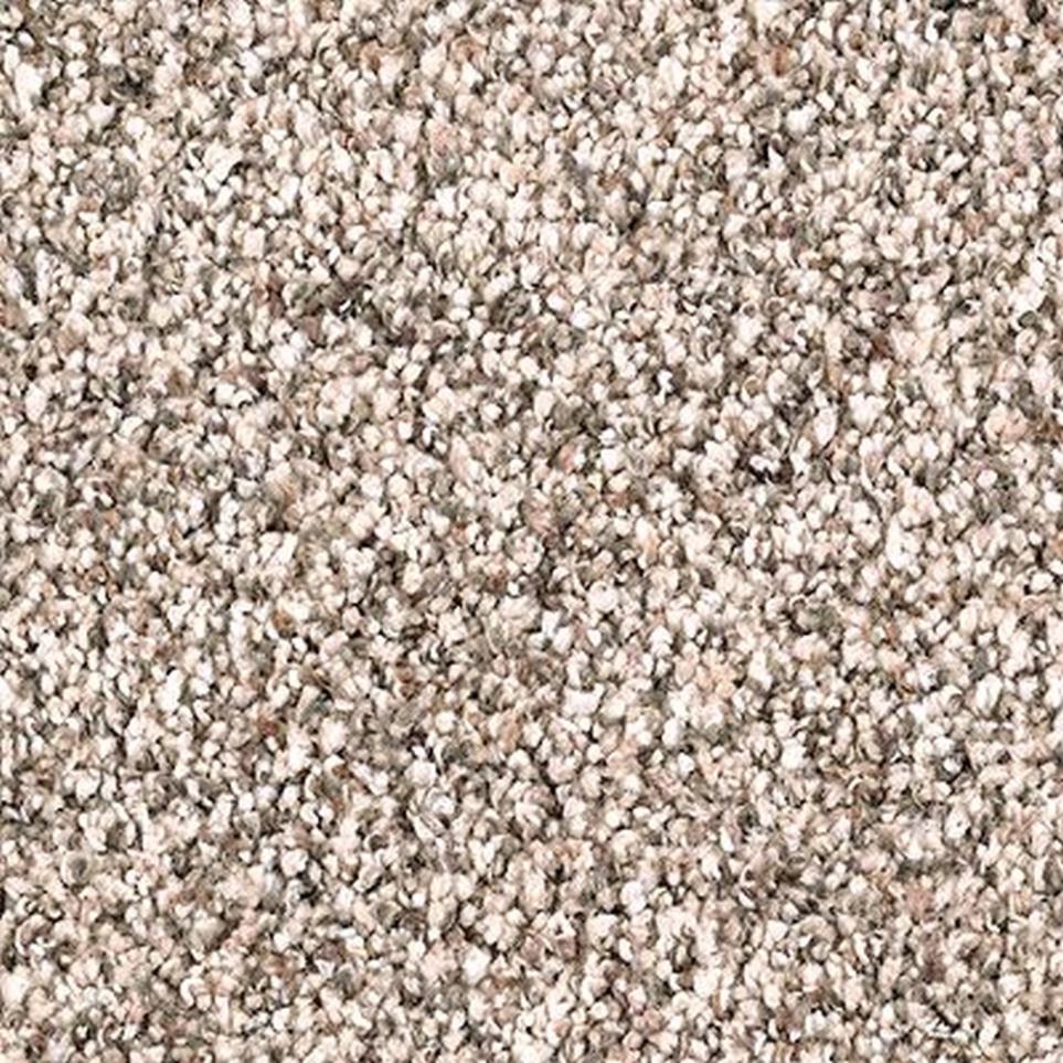 Berber Softened Ash Beige/Tan Carpet