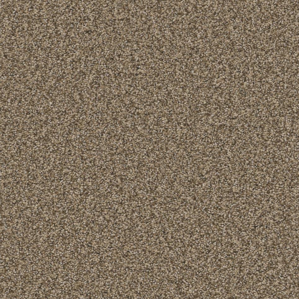 Texture Terra Honey Beige/Tan Carpet