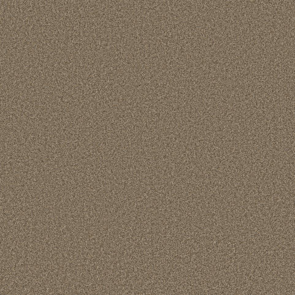Texture Terra Honey Beige/Tan Carpet