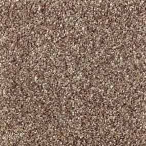 Textured Saxony Island Taupe Brown Carpet