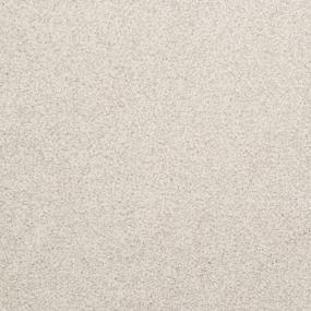 Casual Texture Summer House Gray Carpet