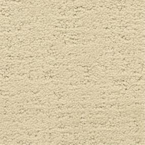 Pattern Carpintaria Beige/Tan Carpet