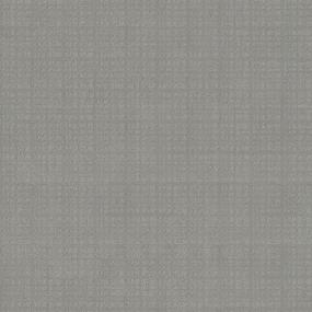 Pattern Everglade Gray Carpet