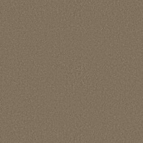 Textured Saxony Wheatfield Brown Carpet