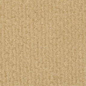Pattern Fore Beige/Tan Carpet