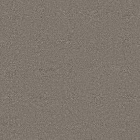 Texture Nut Shell Brown Carpet