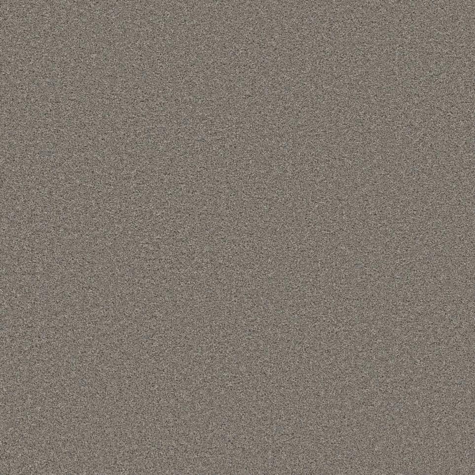 Texture Nut Shell Brown Carpet