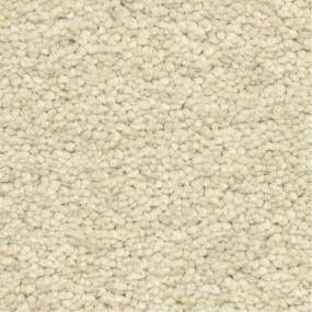 Casual Texture Piedra Beige/Tan Carpet