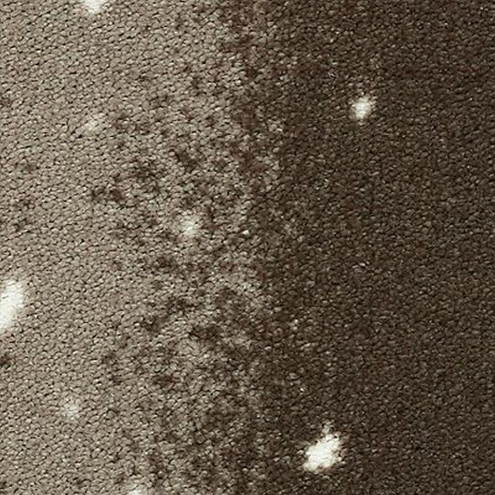 Pattern Ashen Antelope Brown Carpet