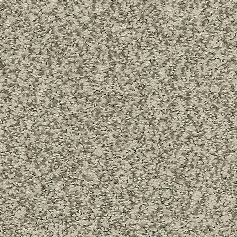 Textured Saxony Greenwich Beige/Tan Carpet