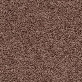 Textured Saxony Blossom Brown Carpet