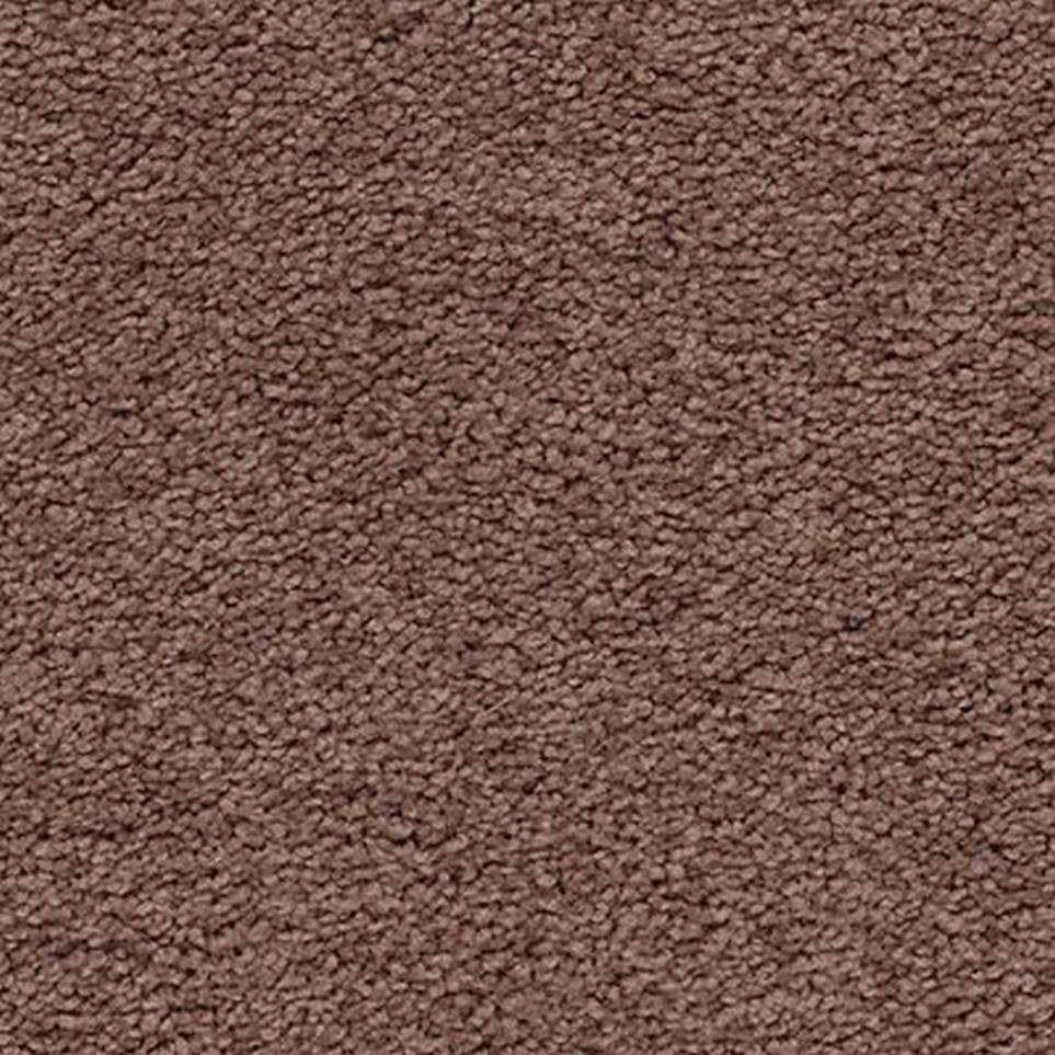 Textured Saxony Blossom Brown Carpet