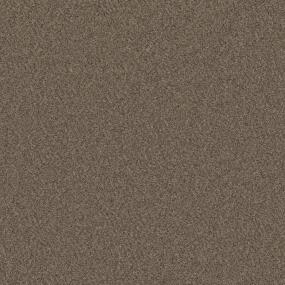 Textured Saxony Traveled Path Beige/Tan Carpet