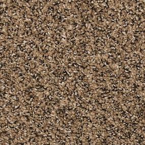 Textured Saxony Traveled Path Beige/Tan Carpet