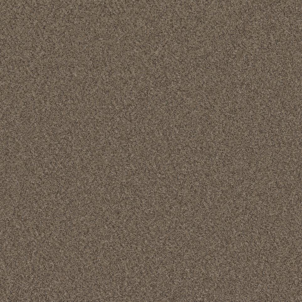 Textured Saxony Traveled Path Beige/Tan Carpet