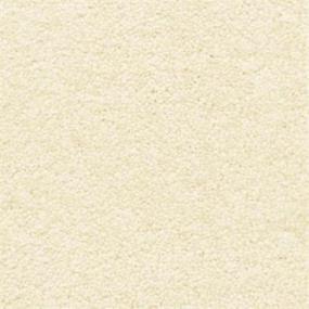 Casual Texture Seed White Carpet